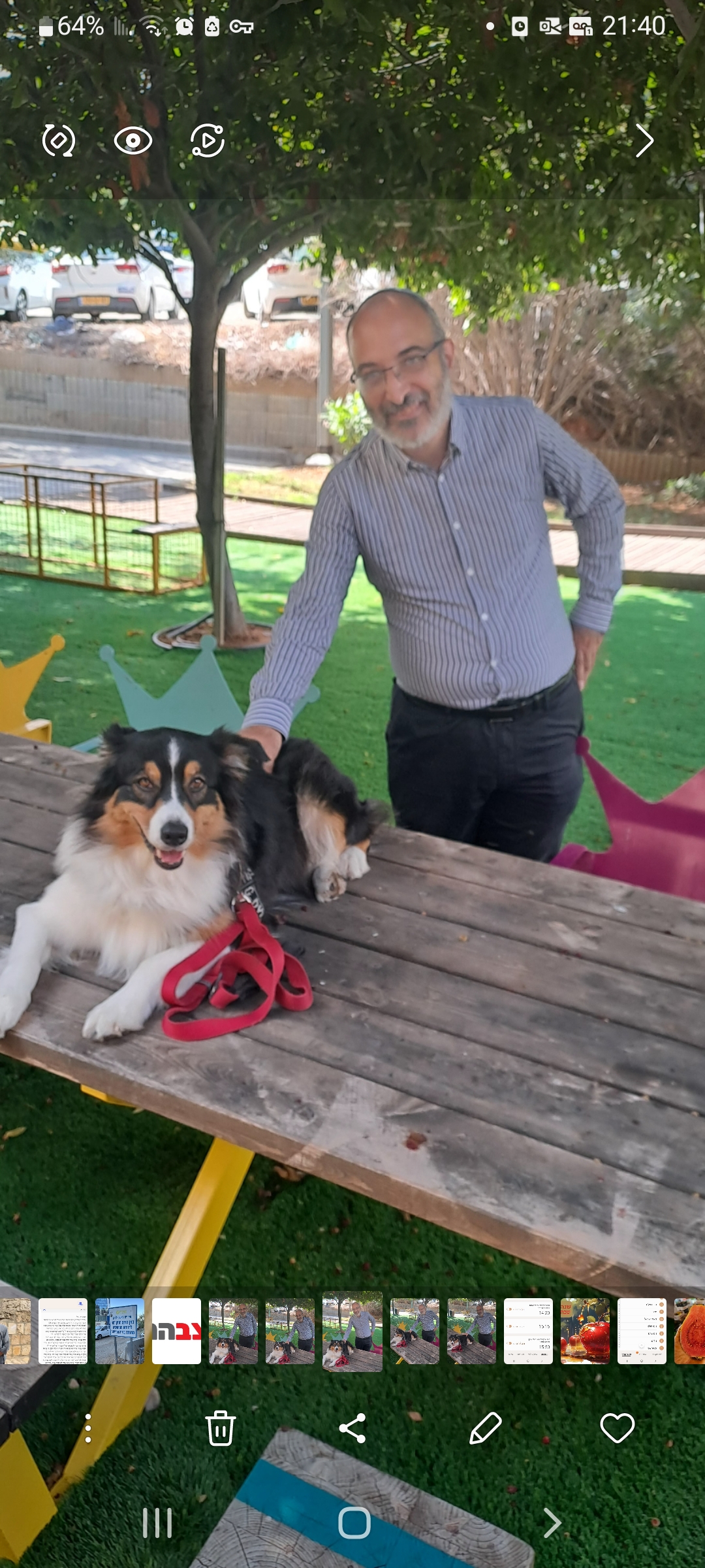 משתמשת שמחפשת פרטנר להורות משותפת