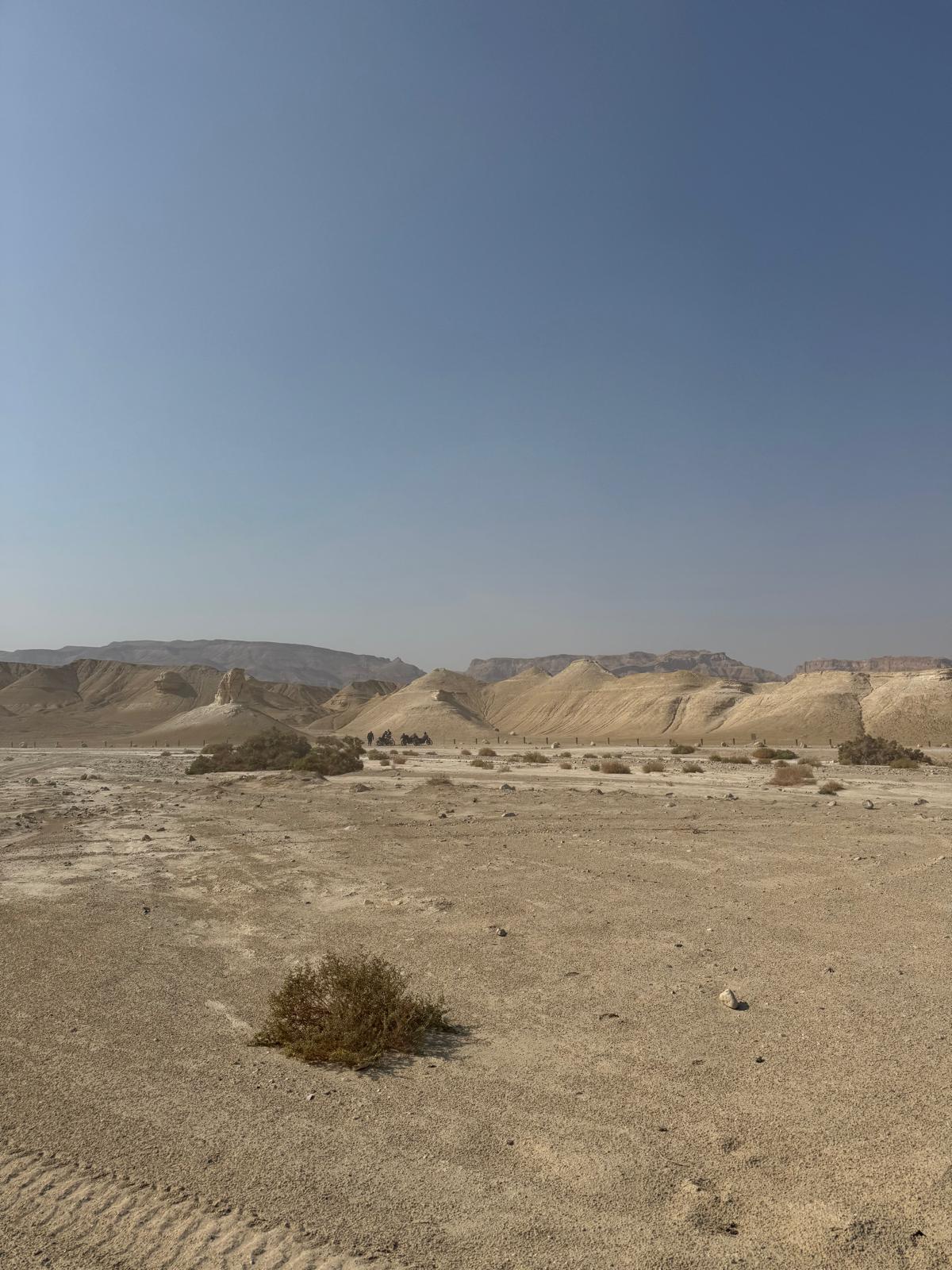 משתמש שמחפש פרטנרית להורות משותפת