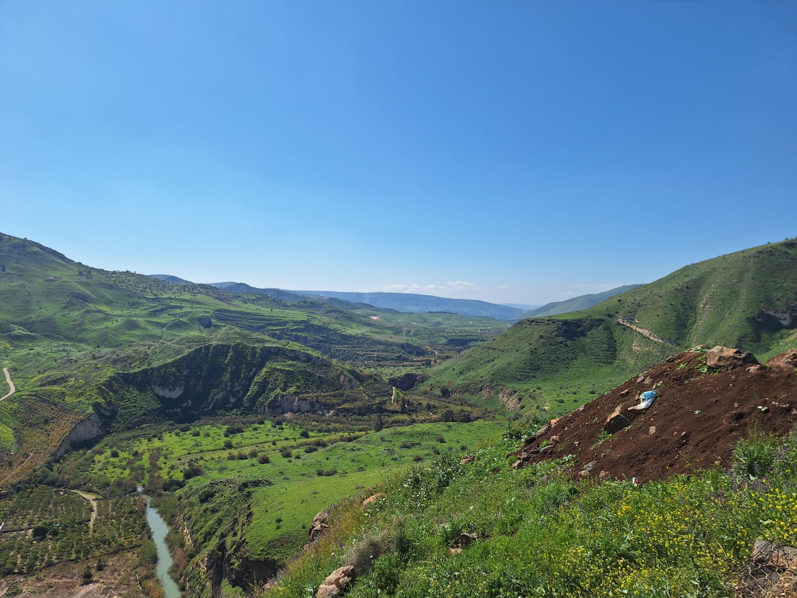 משתמשת שמחפשת פרטנר להורות משותפת