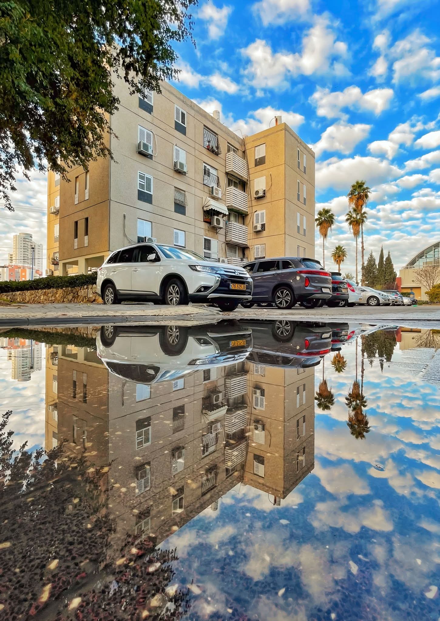 משתמש שמחפש פרטנרית להורות משותפת