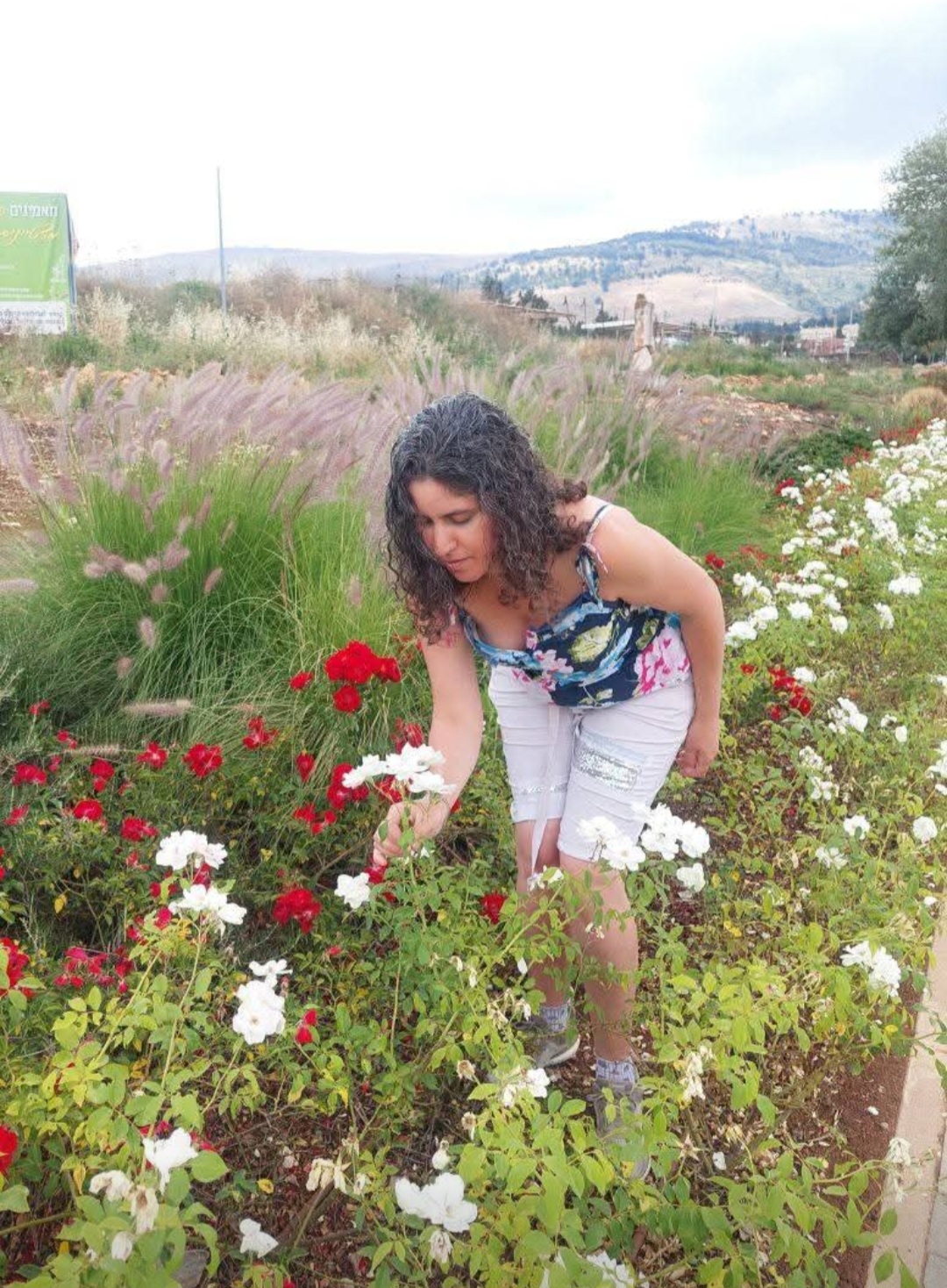 משתמש שמחפש פרטנרית להורות משותפת